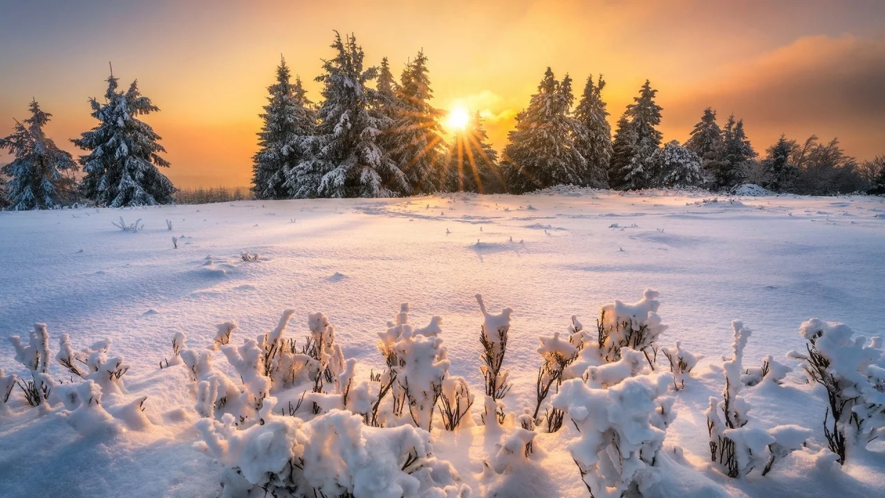 пейзаж, природа, красота