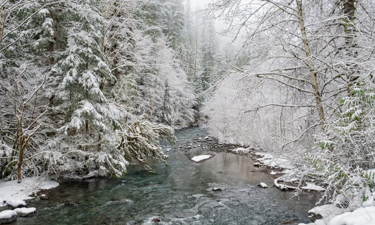 пейзаж, природа, красота