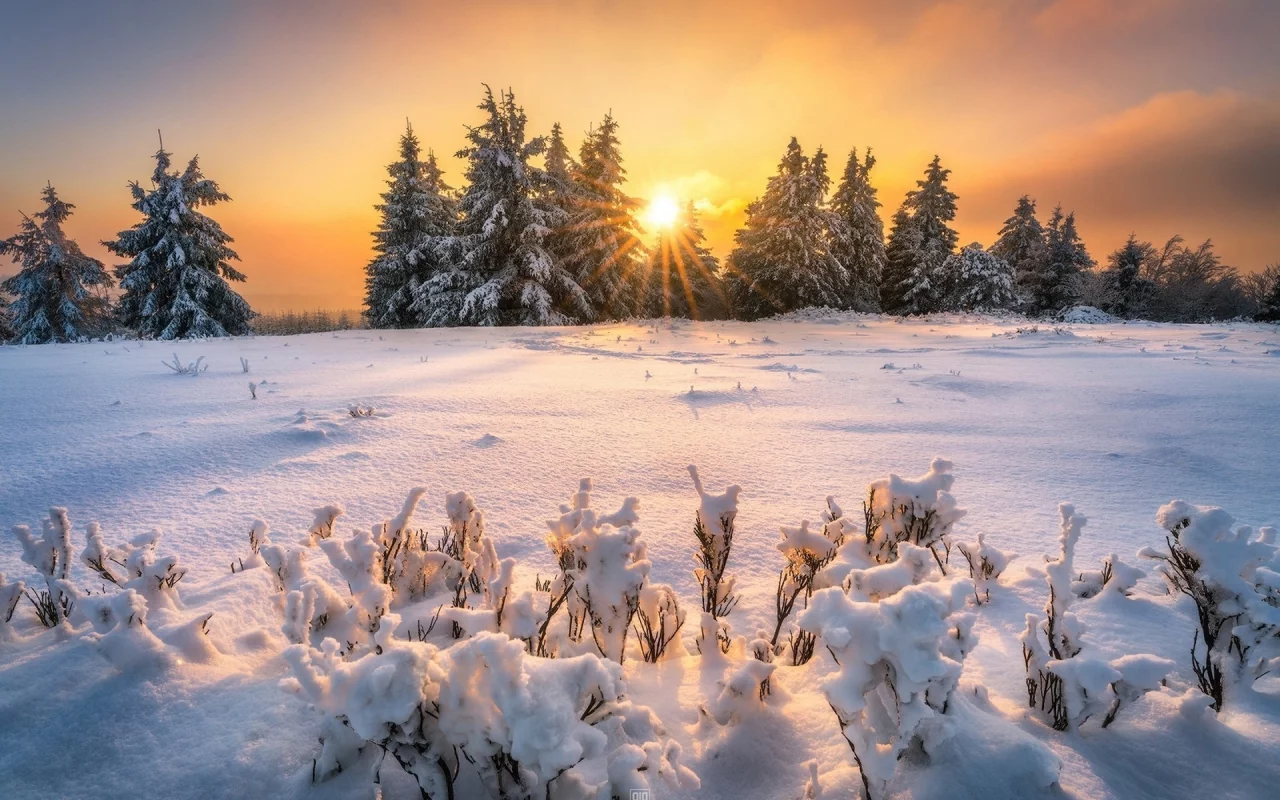 пейзаж, природа, красота