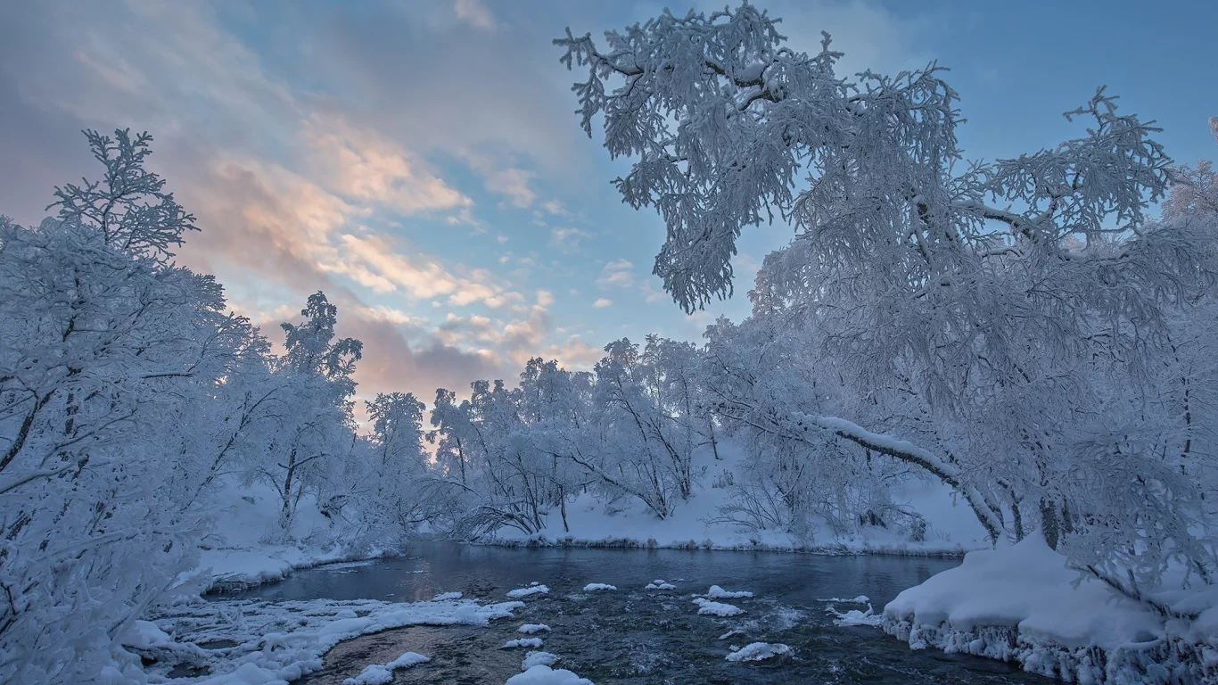 пейзаж, природа, красота