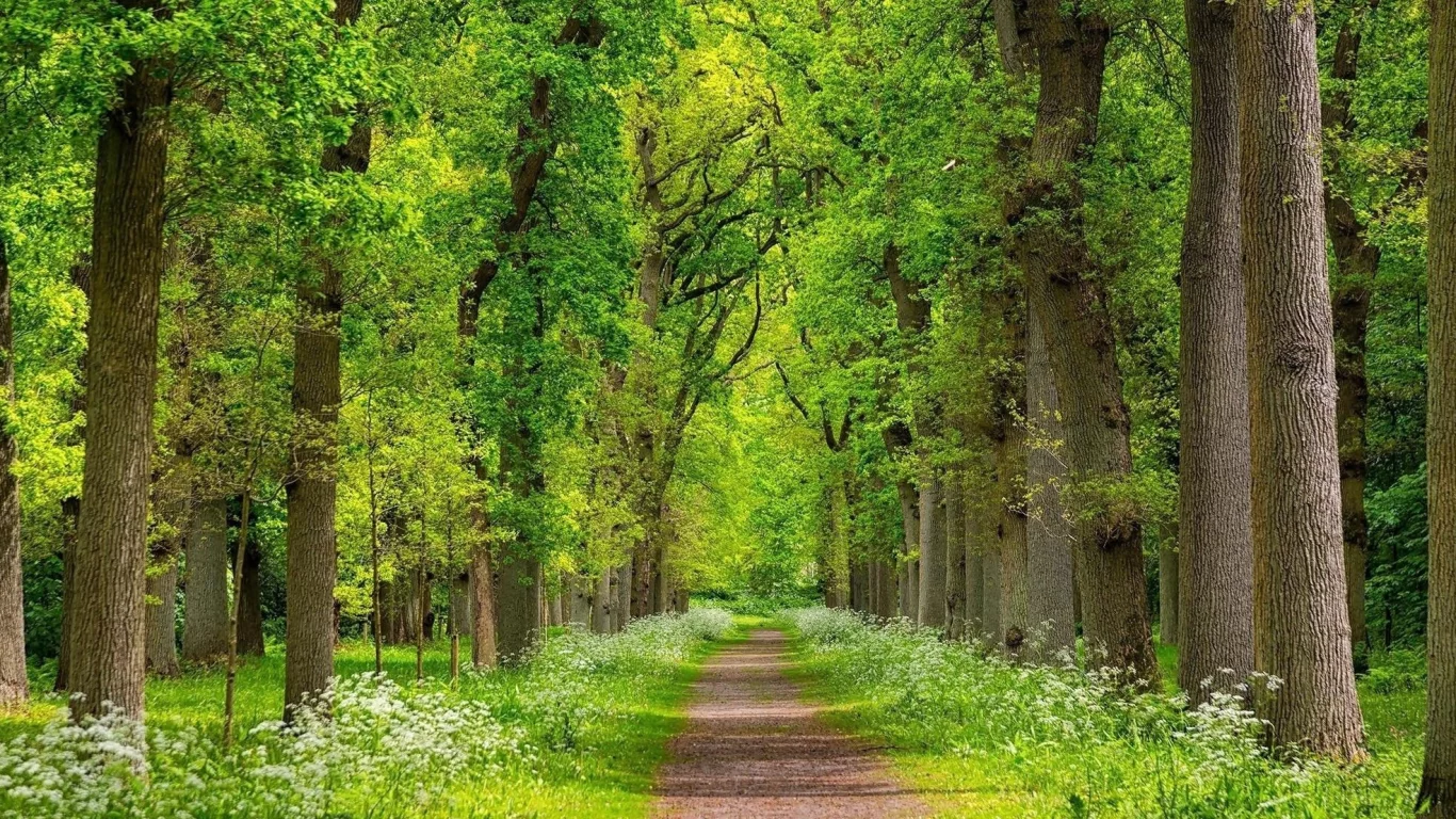 пейзаж, природа, красота