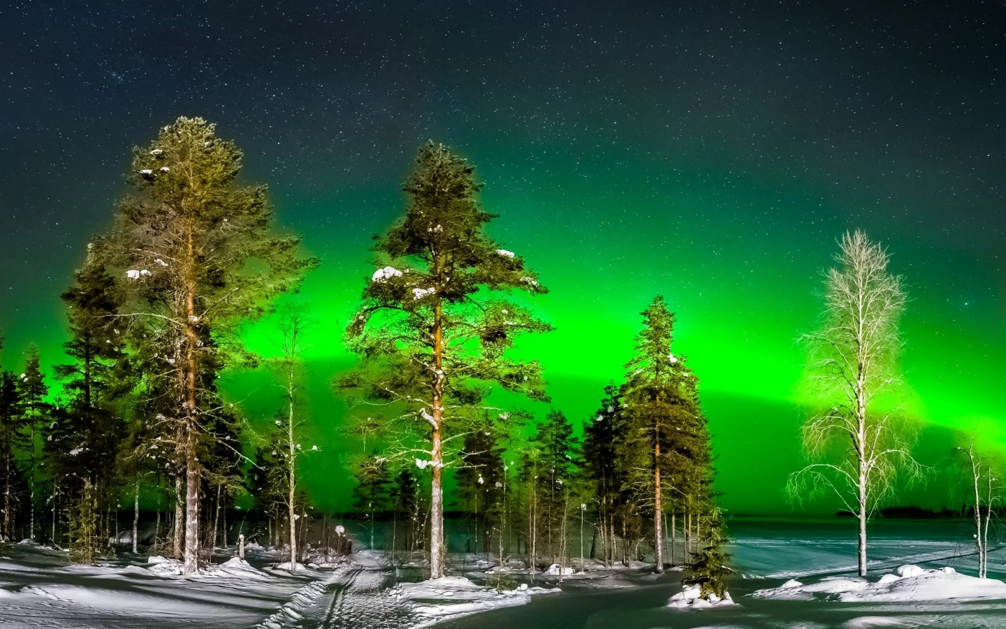 пейзаж, природа, красота