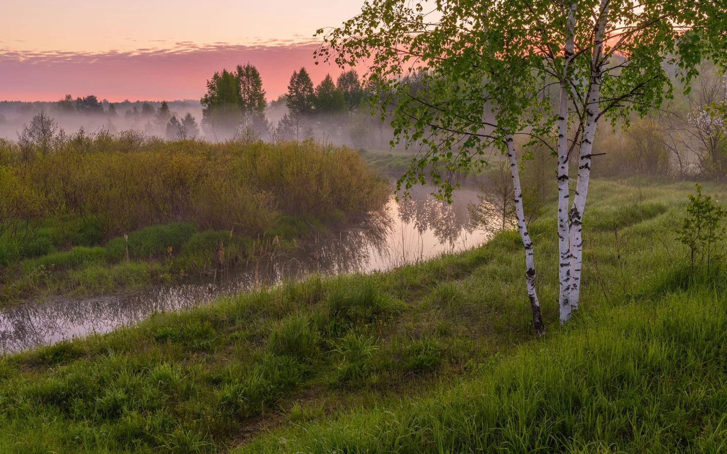 речушка, изгиб, луга, деревья