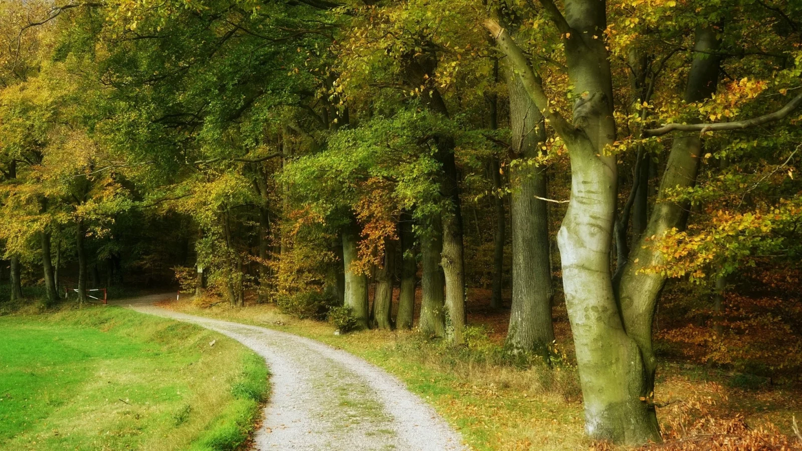 пейзаж, природа, красота