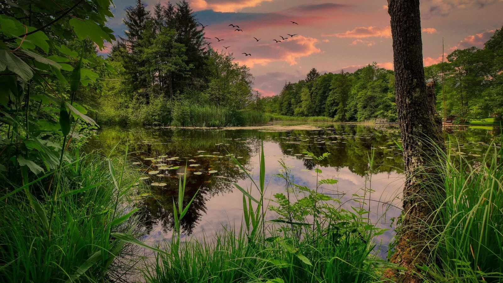 озеро, вода, небо, закат