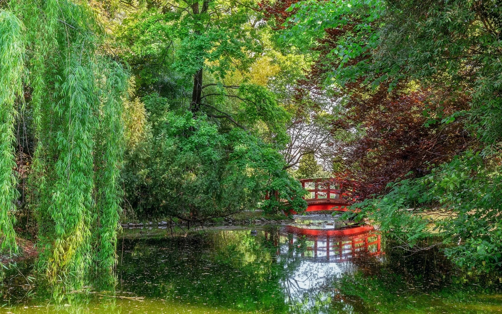 пейзаж, природа, красота