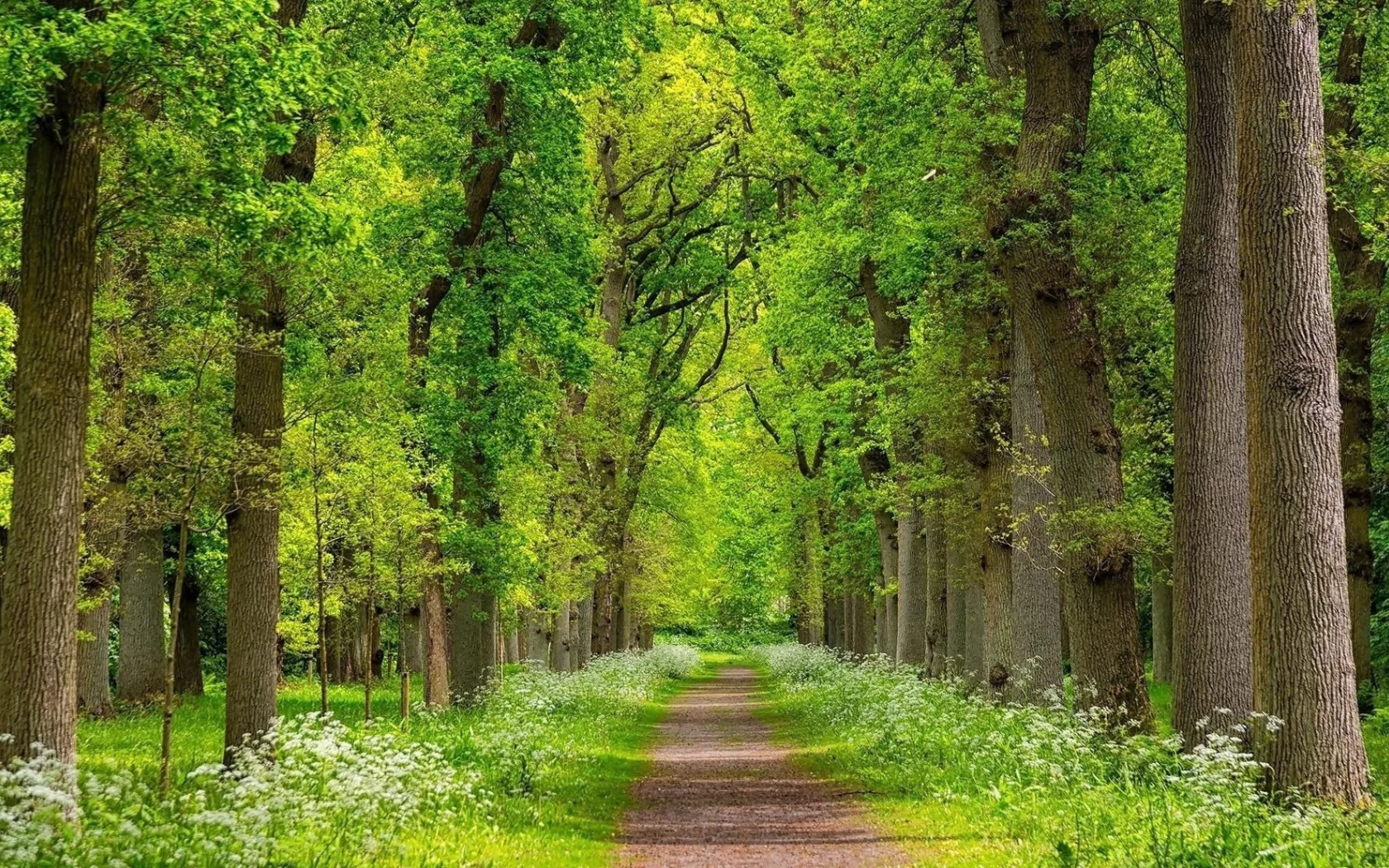 пейзаж, природа, красота