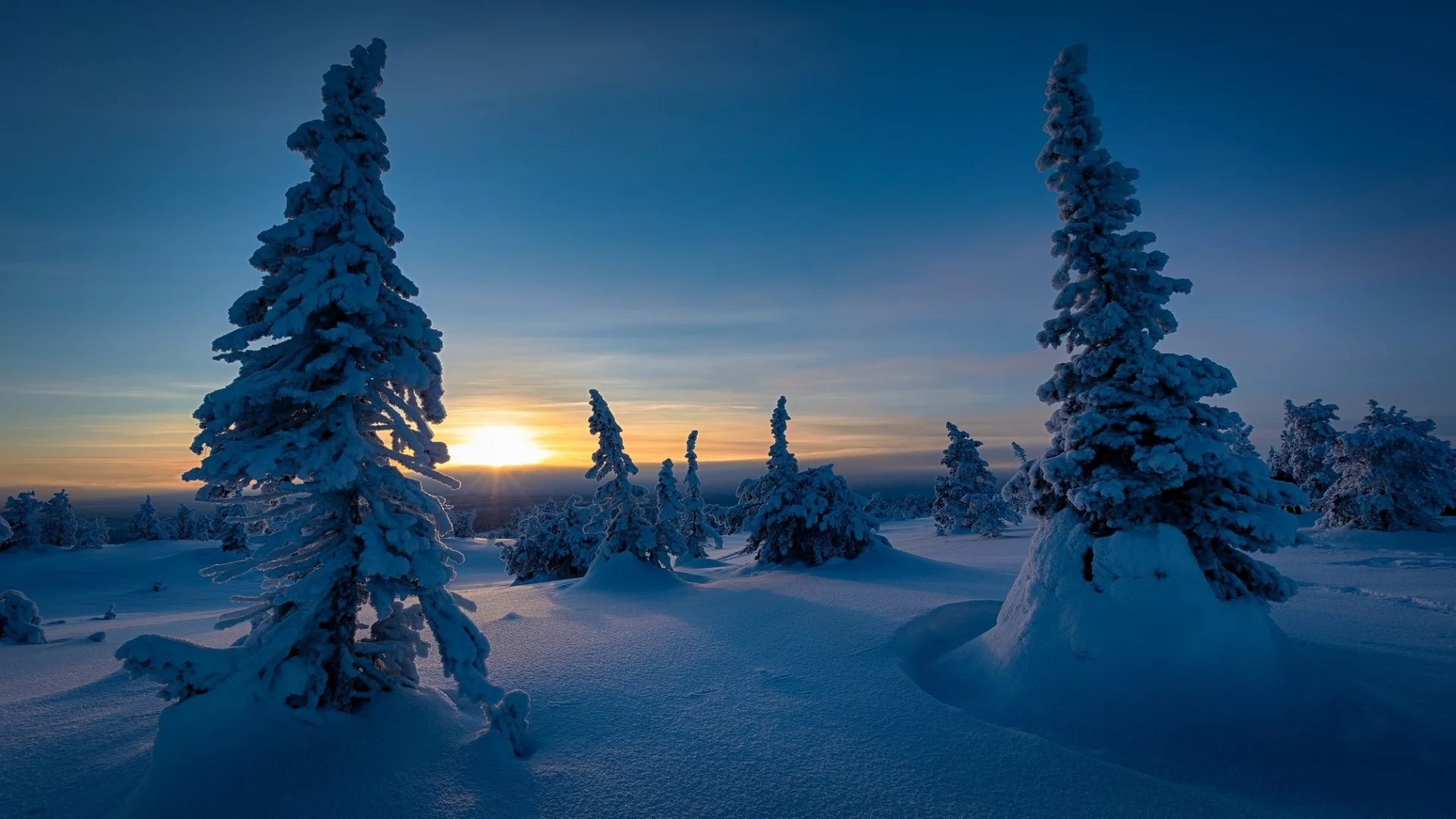 пейзаж, природа, красота