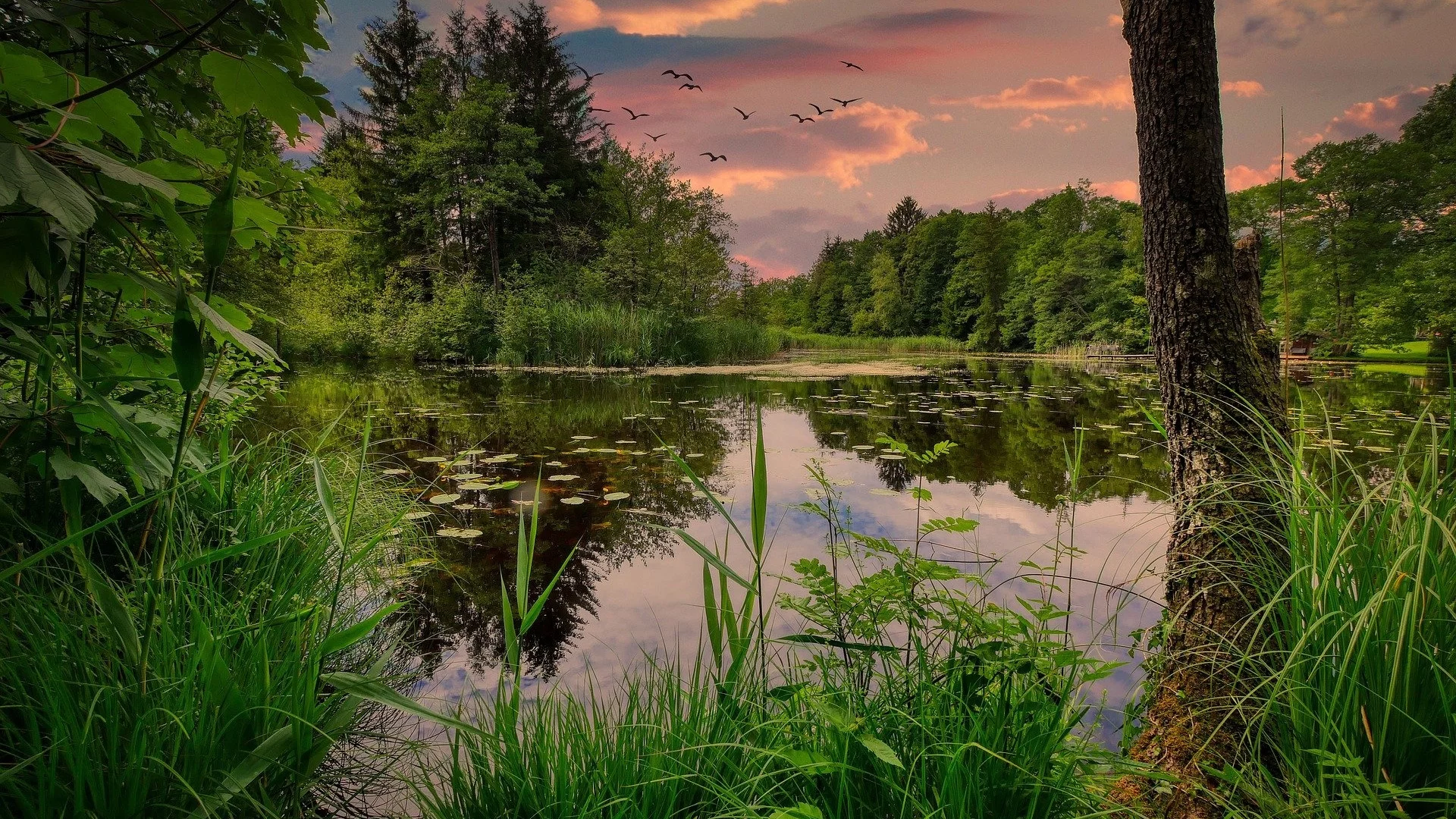 озеро, вода, небо, закат