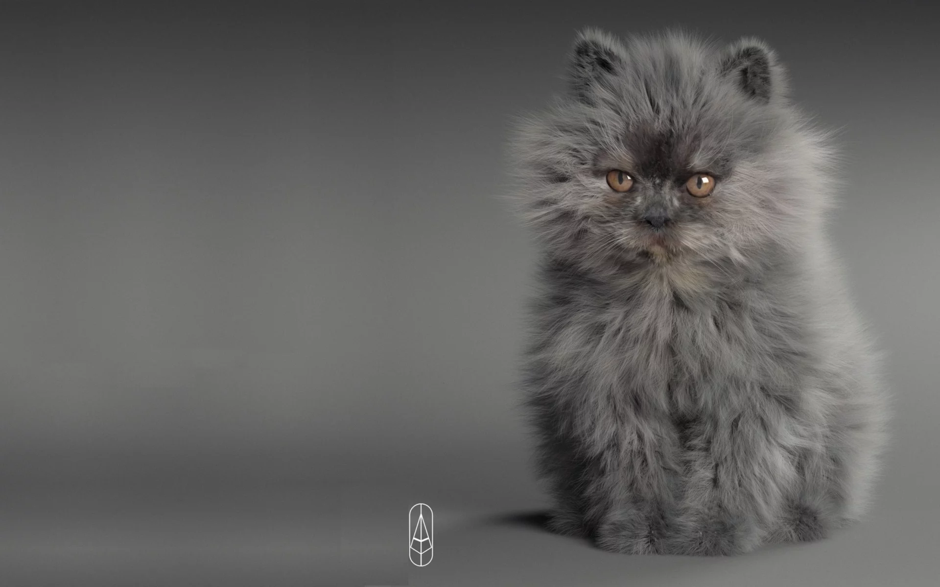 кот, персидский