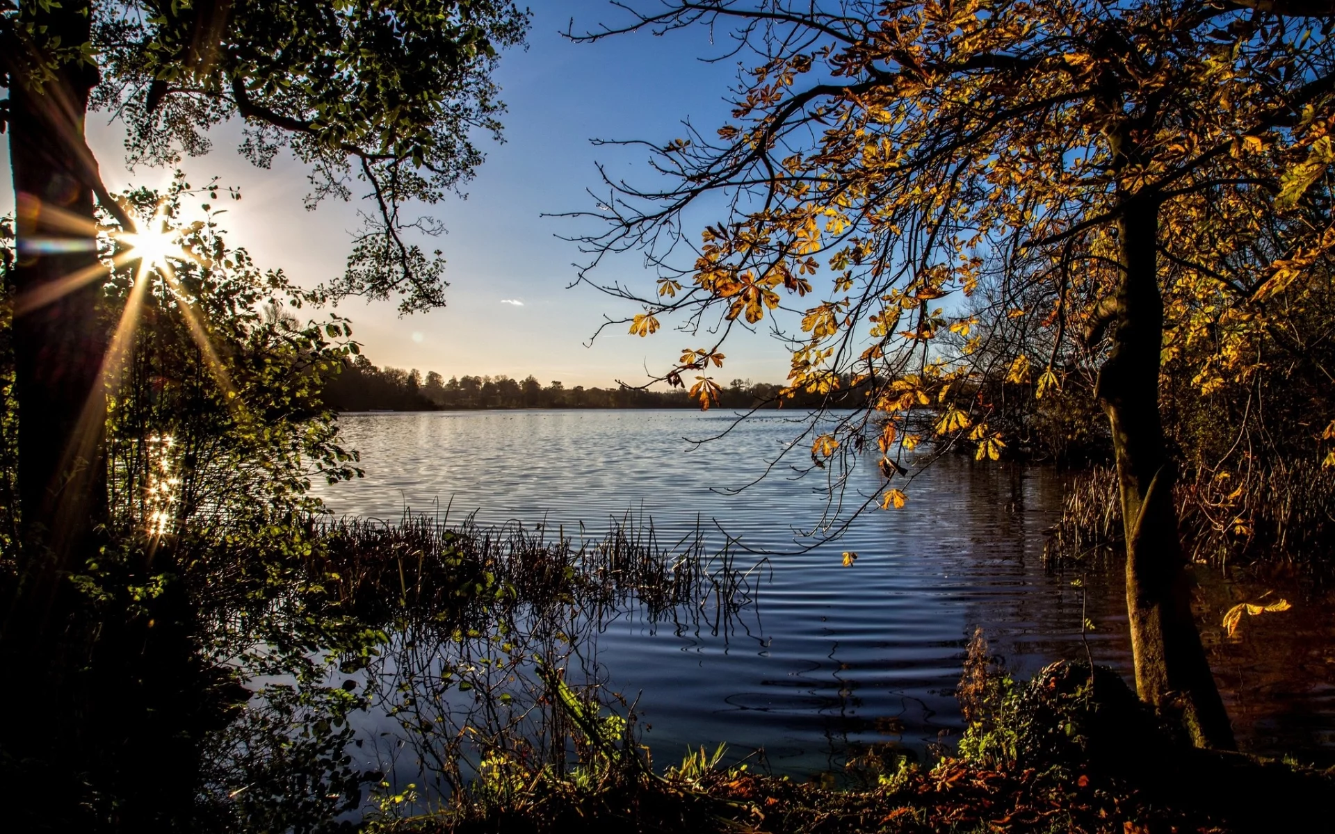 пейзаж, природа, красота