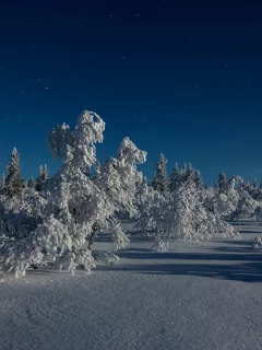 пейзаж, природа, красота