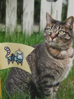 кот, взгляд, животное