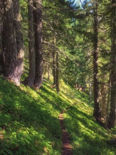 пейзаж, природа, красота