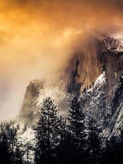 пейзаж, природа, красота