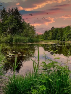 озеро, вода, небо, закат