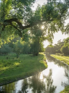пейзаж, природа, красота