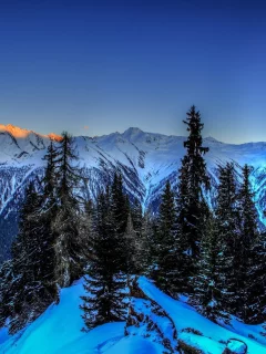пейзаж, природа, красота