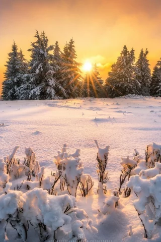 пейзаж, природа, красота