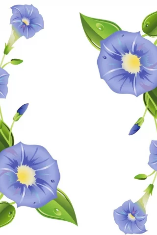 цветы, фон