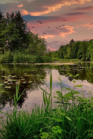 озеро, вода, небо, закат
