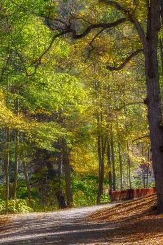 пейзаж, природа, красота