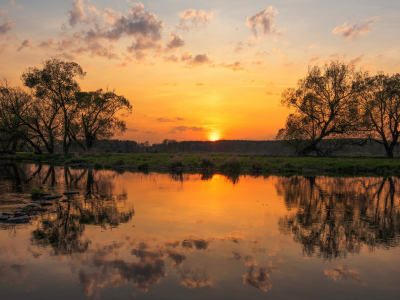 пейзаж, природа, красота