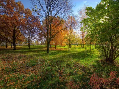 пейзаж, природа, красота