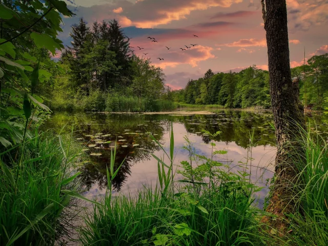 озеро, вода, небо, закат