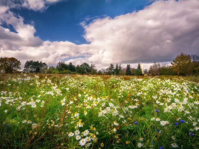 пейзаж, природа, красота