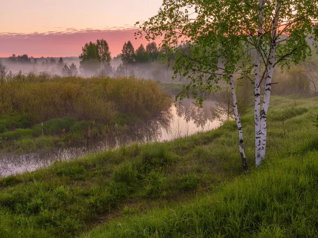 речушка, изгиб, луга, деревья