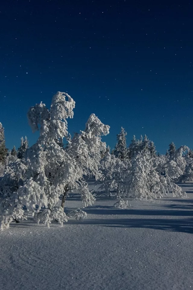 пейзаж, природа, красота