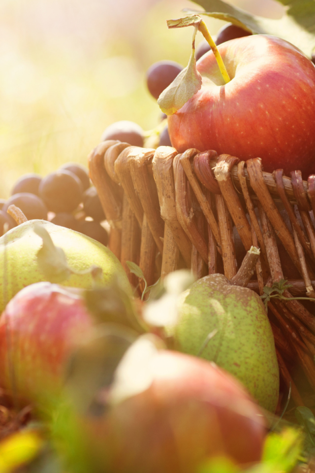 яблоки, груши, виноград, фрукты