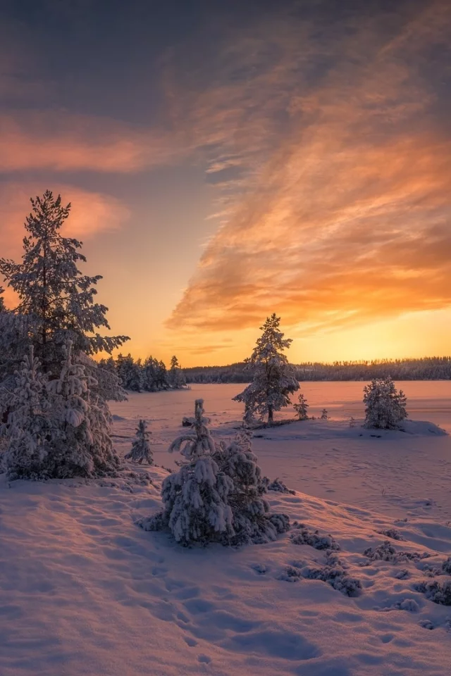 пейзаж, природа, красота