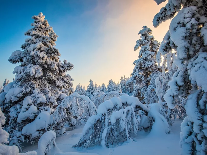 пейзаж, природа, красота