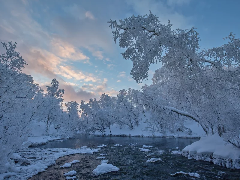 пейзаж, природа, красота