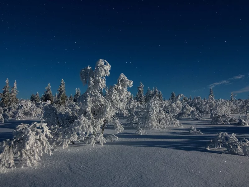 пейзаж, природа, красота