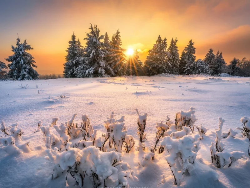 пейзаж, природа, красота