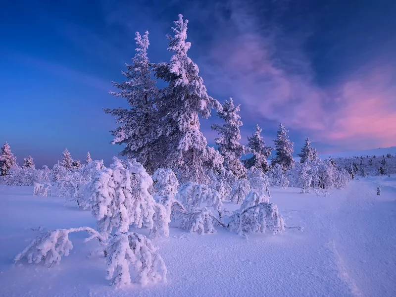 пейзаж, природа, красота