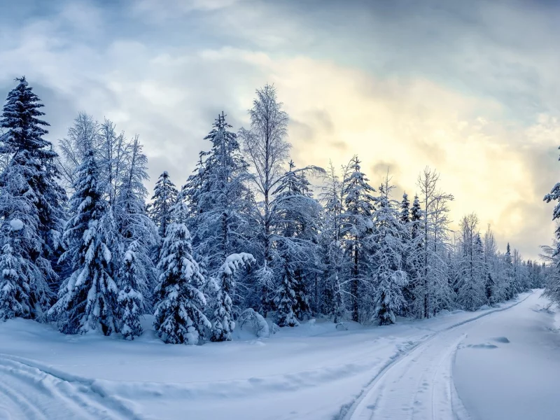пейзаж, природа, красота