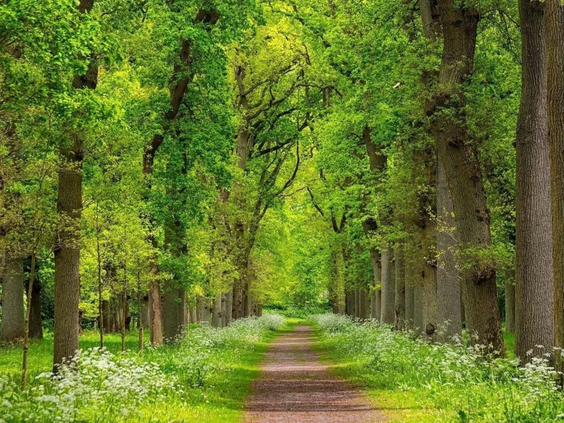 пейзаж, природа, красота