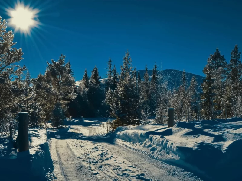 пейзаж, природа, красота