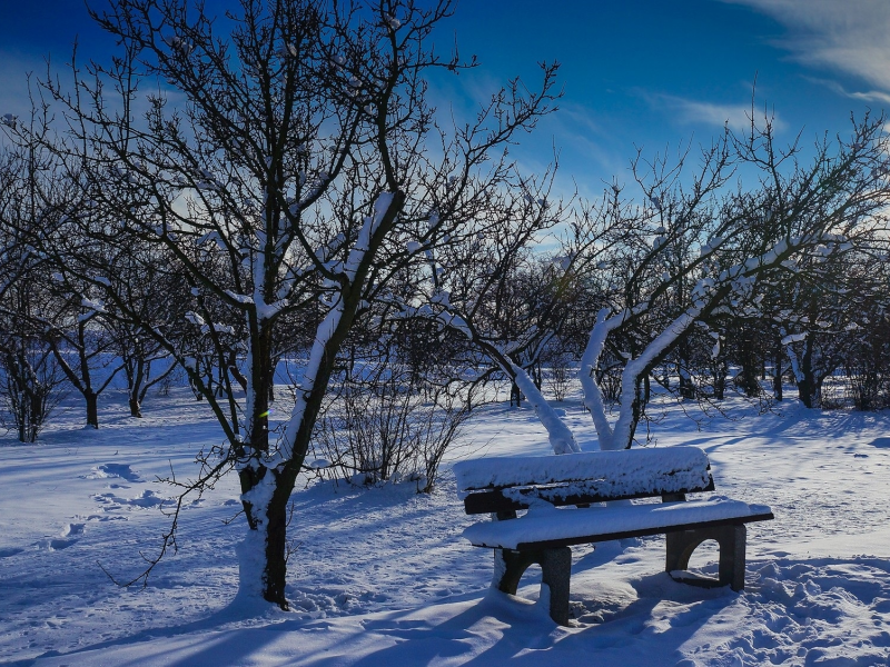 пейзаж, природа, красота