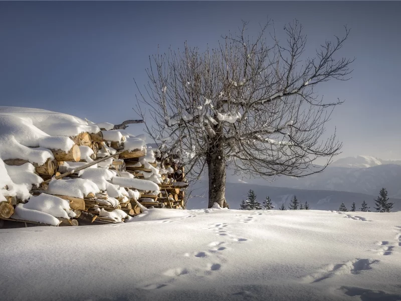 пейзаж, природа, красота