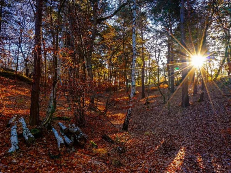 пейзаж, природа, красота