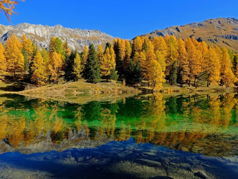 пейзаж, природа, красота