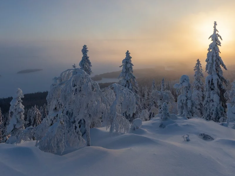 пейзаж, природа, красота