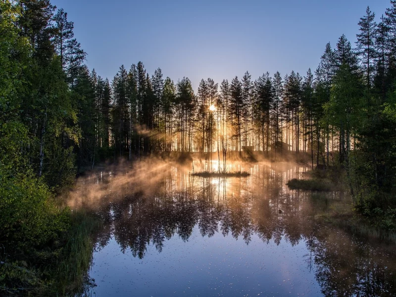 пейзаж, природа, красота