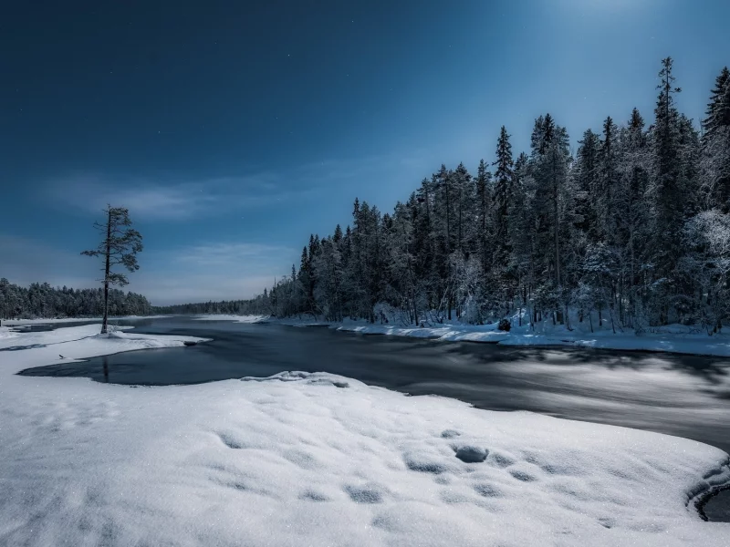 пейзаж, природа, красота
