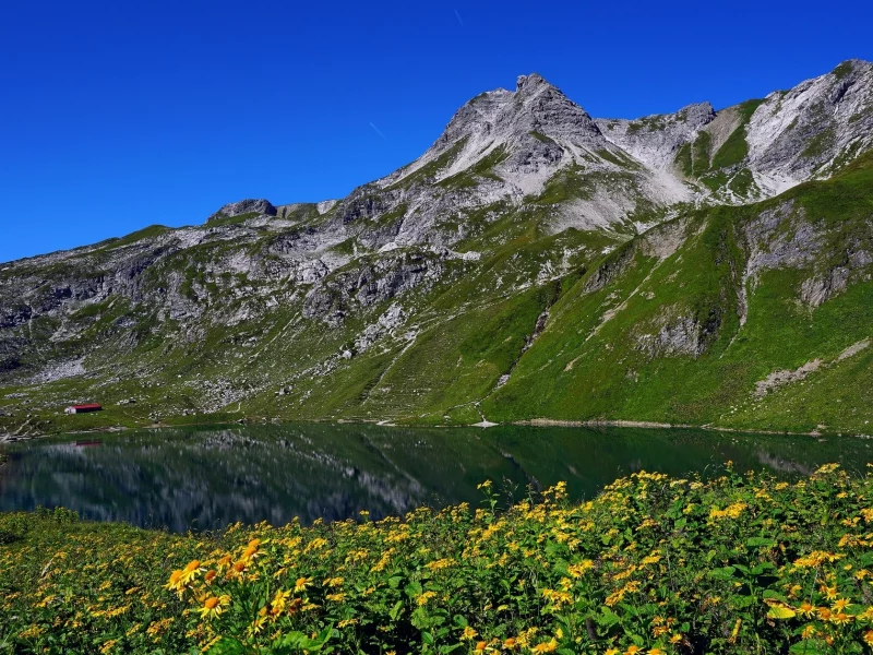 пейзаж, природа, красота